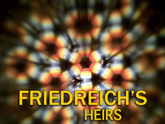 Friedreich's Heirs